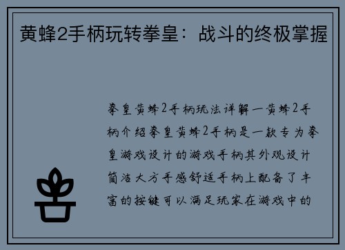 黄蜂2手柄玩转拳皇：战斗的终极掌握